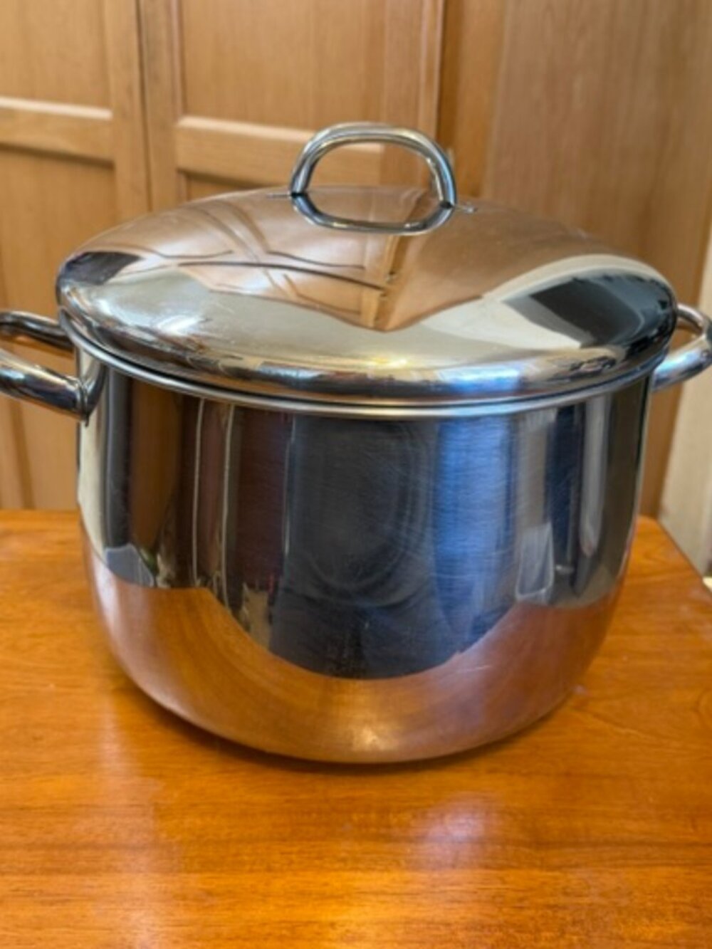 Faberware 12 quart stainless steel pot